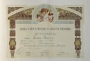 diploma_luzzi.jpg